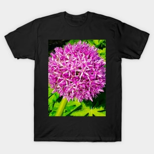 Beautiful Purple Flower Blooming In Spring Landscape T-Shirt